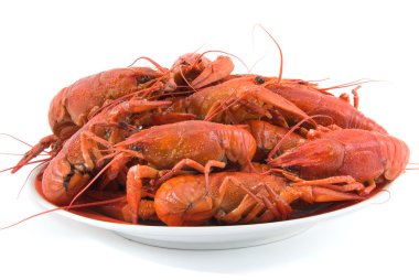 Boiled crawfish clipart