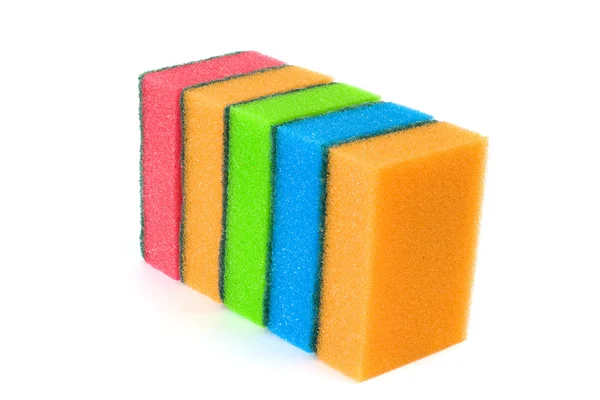 stock image Sponges