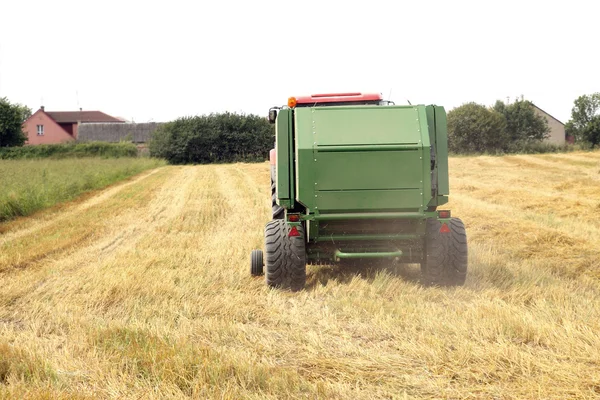 stock image Harvest time