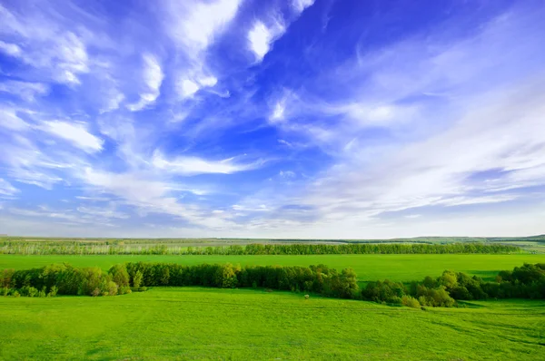 Spring sunny day landscape — Stock Photo, Image