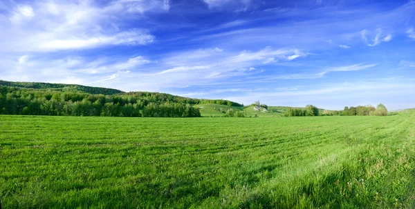 Spring sunny day landscape — Stock Photo, Image