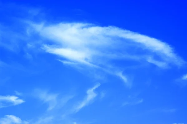 Летнее голубое небо с облаками — стоковое фото