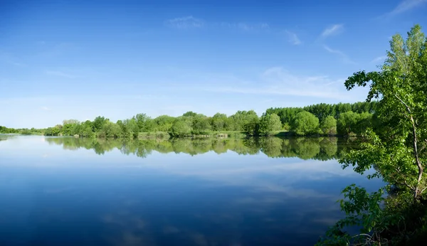Літній ранок озеро — стокове фото
