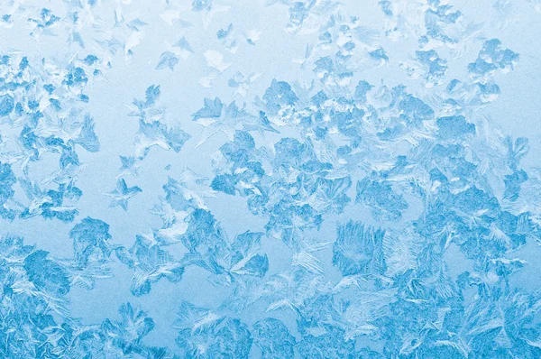 光の青の冷凍の窓からす — ストック写真