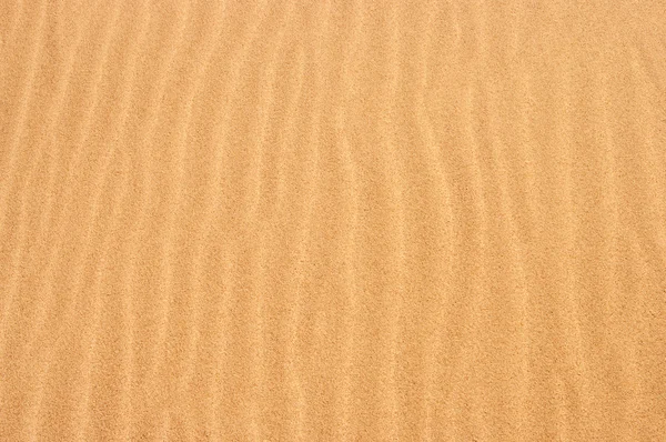 Wet sand on coast background — Stock Photo, Image