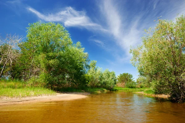 Río bosque — Foto de Stock