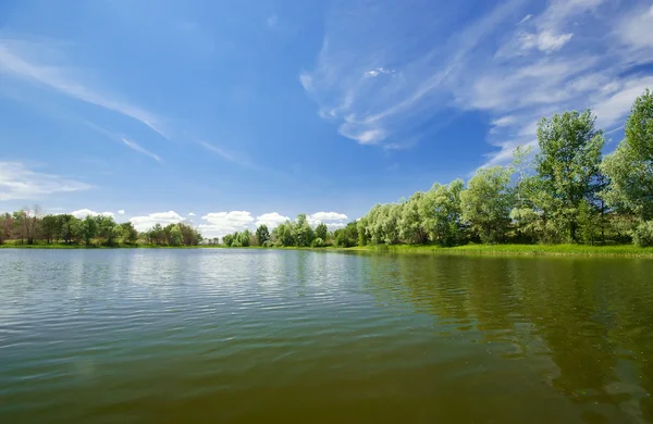 흐린 하늘 아래 숲의 호수 — 스톡 사진