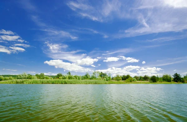흐린 하늘 아래 숲의 호수 — 스톡 사진