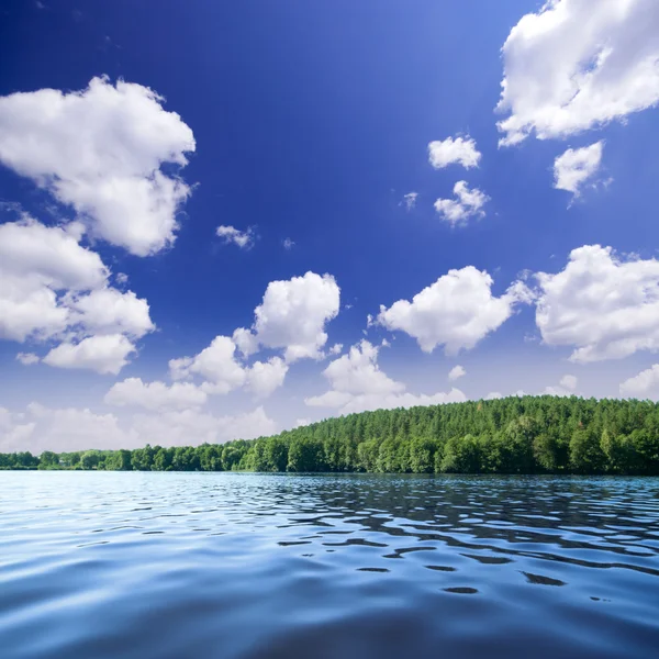 Orilla del lago del bosque — Foto de Stock