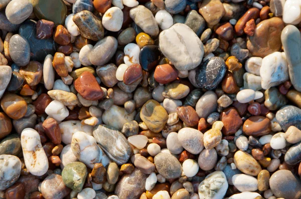 Wet pebbles background — Stock Photo, Image