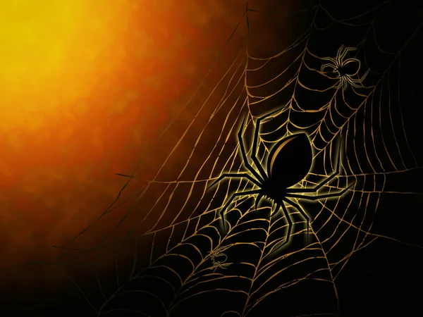 Spider pe fundal întunecat — Fotografie, imagine de stoc