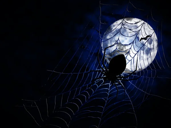 Spider on dark background — Stock Photo, Image