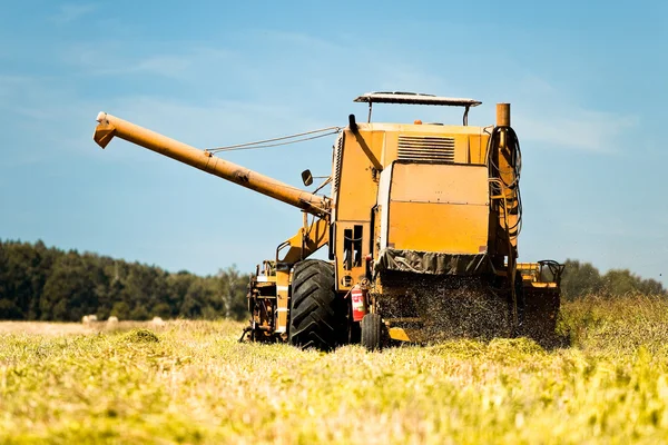 Combineer oogstmachine werkend in een tarweveld — Stockfoto