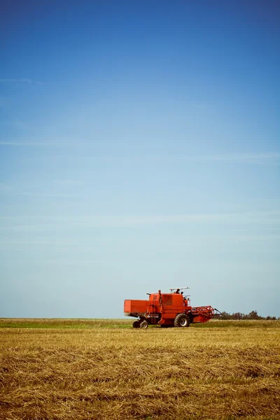 Red combine harvester working in a wheat field — Stock Photo, Image