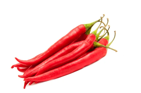 Chili quente vermelho em um fundo branco . — Fotografia de Stock