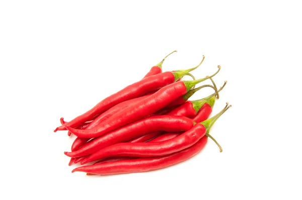 Red hot chili på en vit bakgrund Stockfoto