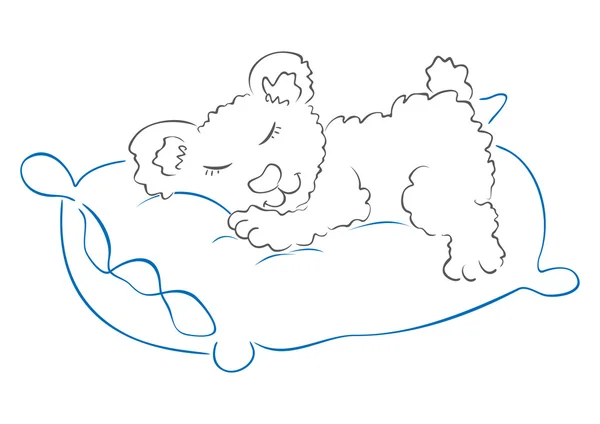 Spící medvídek — Stockový vektor