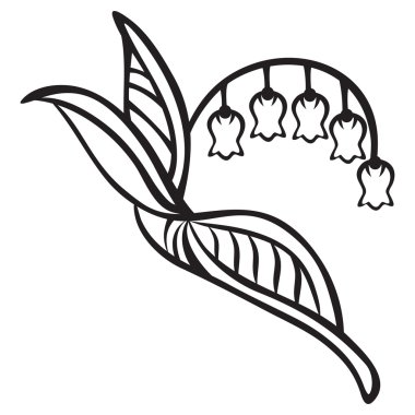 Lily of the valley clipart