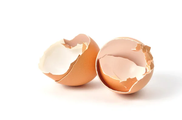 Coquilles d'œufs — Photo