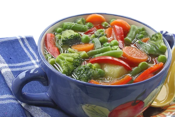 Sopa de dieta con verduras frescas —  Fotos de Stock