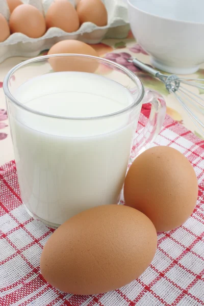 Leche y huevos — Foto de Stock