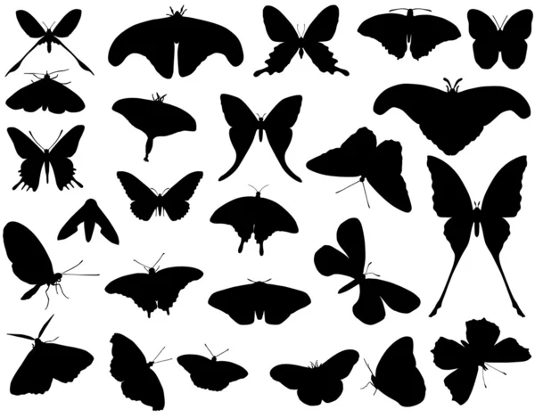 Mariposa. — Archivo Imágenes Vectoriales