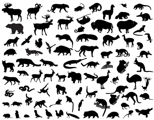 Silhouettes 的动物 — 图库矢量图片