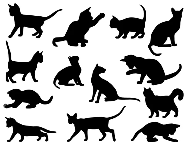 Silhouetten van katten — Stockvector