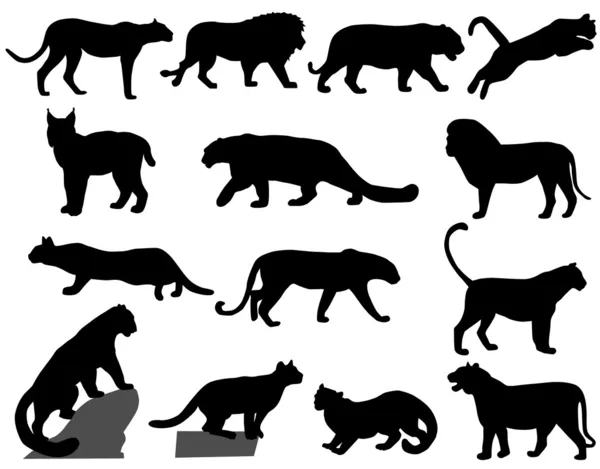 Дикие кошки — стоковый вектор