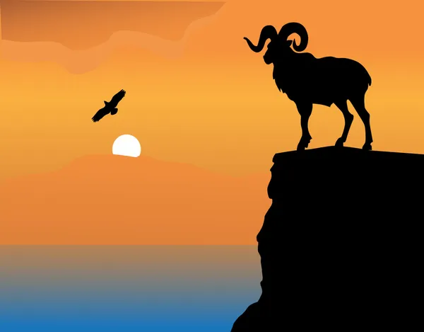 Mountain goat on a rock — Stock Vector