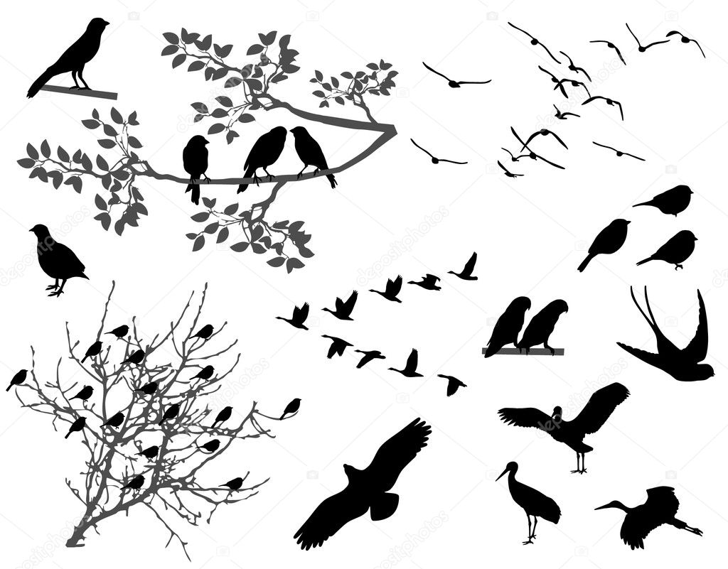 Birds silhouettes on white