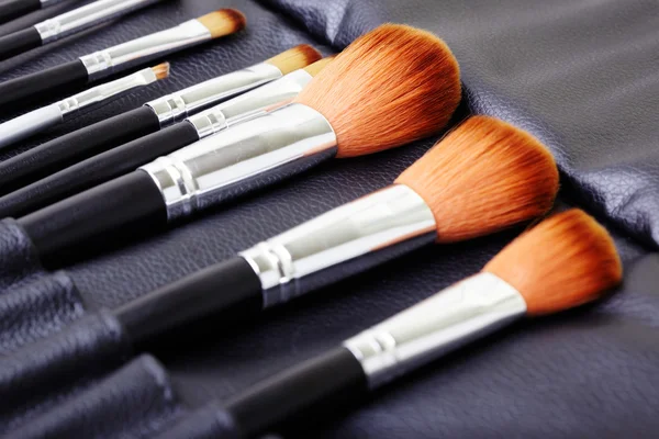 Makeup borste uppsättning — Stockfoto