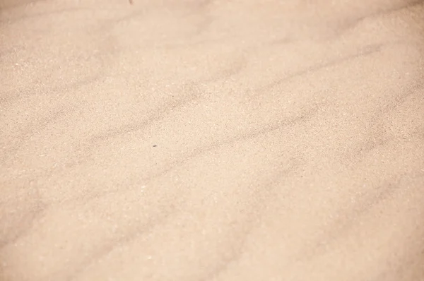 Zand op het strand close-up — Stockfoto