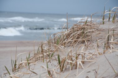 deniz kıyısı üstünde kumlu dune