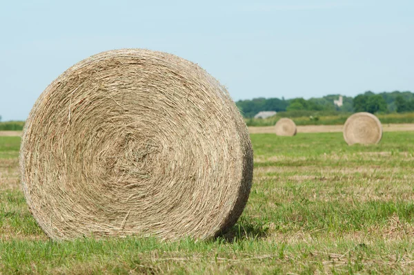 Szalma tekercs a farmer mező a nyáron — Stock Fotó