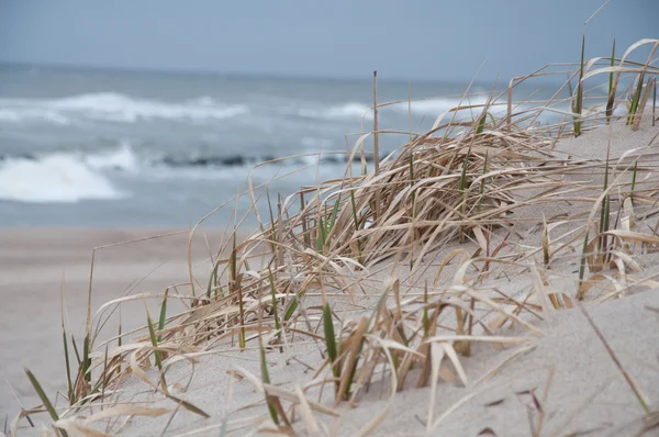 Deniz kıyısı üstünde kumlu dune — Stok fotoğraf