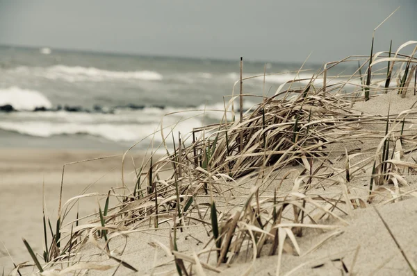 Deniz kıyısı üstünde kumlu dune — Stok fotoğraf