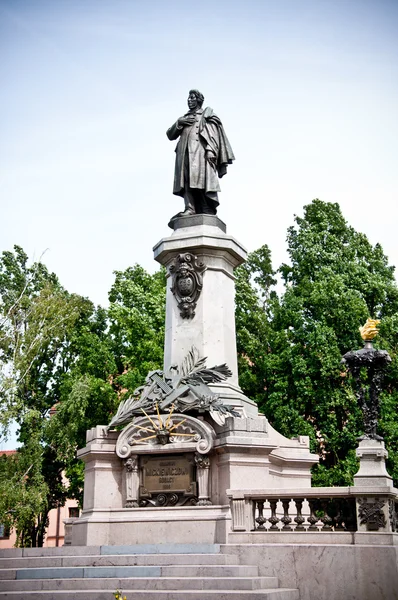 stock image Monument of poet Adam Mickiewicz in Warsaw, Poland