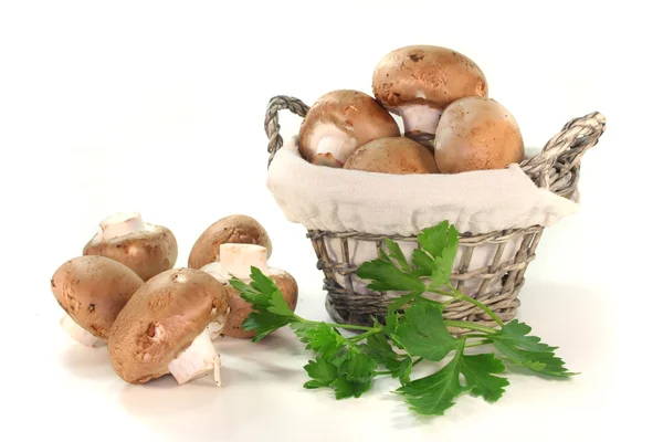 蘑菇与欧芹 — 图库照片