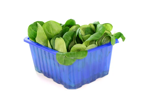 Fresh corn salad — Stock Photo, Image