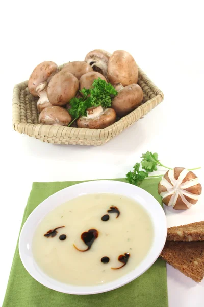 Mushroom cream soup — Stock Photo, Image