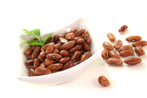 Pinto beans — Stock Photo, Image
