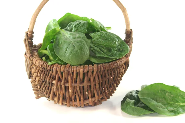 Leaf spinach — Stock Photo, Image