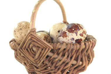 bıldırcın yumurtası