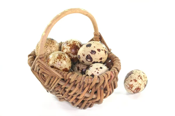 Stock image Quail eggs