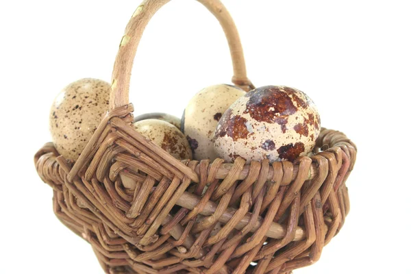 stock image Quail eggs