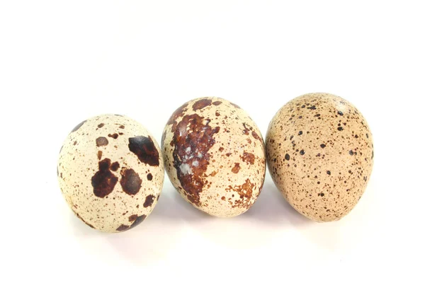 stock image Quail eggs