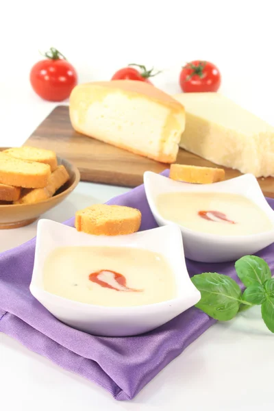 stock image Cheese soup