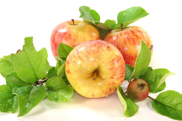 Яблука з листям — стокове фото