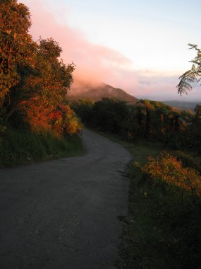 Dağın zirvesine sonbahar orman yolu